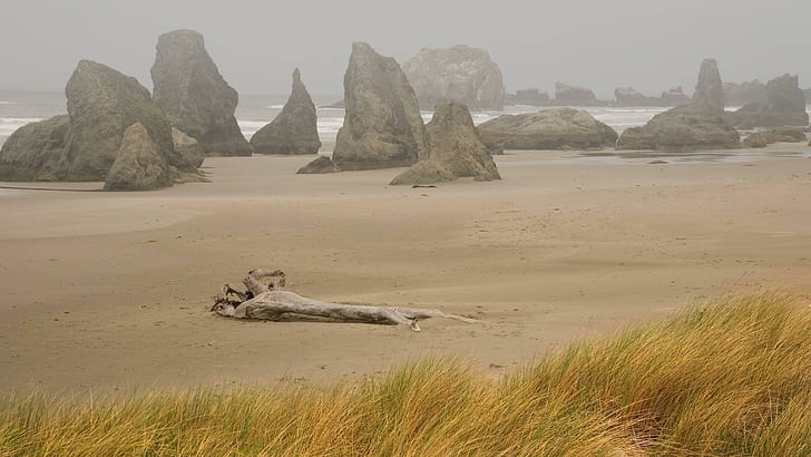 Foggy Day At Bon Oregon Coast, grass, rocks, coast, nature and landscapes, HD wallpaper