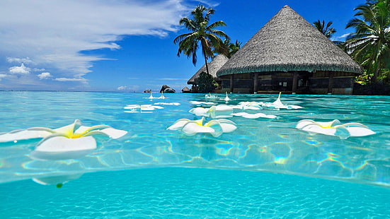칸쿤 멕시코 해변 해변 열대 여름 Hd 배경 화면 3840 × 2160, HD 배경 화면 HD wallpaper