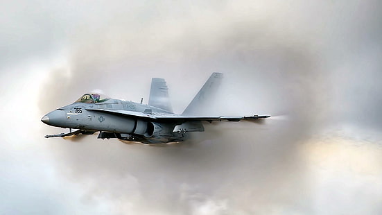 F-18 Hornet, mcdonnell douglas, 1920 x 1080, navy, f 18, hornet, 1080p, 1978, 1080i, pesawat terbang, Wallpaper HD HD wallpaper