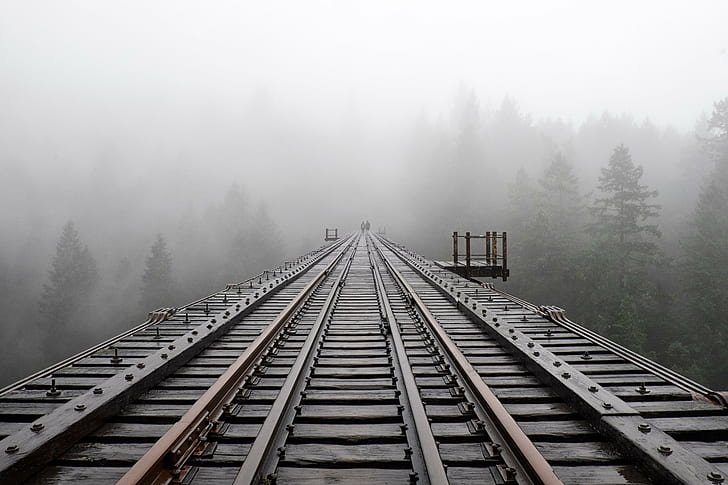 zdjęcie kolejki i mgły, Goldstream Provincial Park, pociąg, szyna, mgła, zdjęcie, kolej, estakada, wiktoria kolumbia brytyjska, mgła, drzewa, tory kolejowe, transport, stal, Tapety HD
