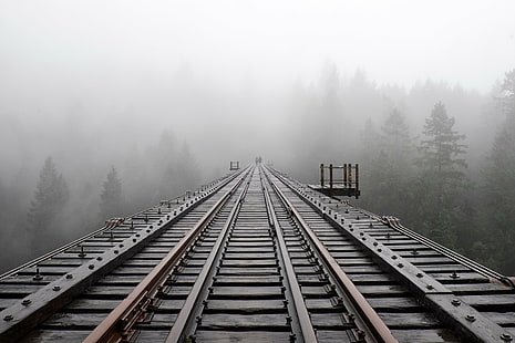 поезд рельс и туман фото, провинциальный парк Голдстрим, поезд, рельс, туман, фото, железная дорога, эстакада, виктория британская колумбия, туман, деревья, железнодорожный путь, транспорт, сталь, HD обои HD wallpaper