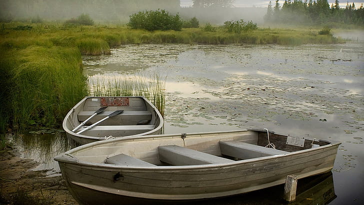 Łodzie wiosłowe w jeziorze Mglisty poranek, trawa, mgła, jezioro, łodzie, Tapety HD