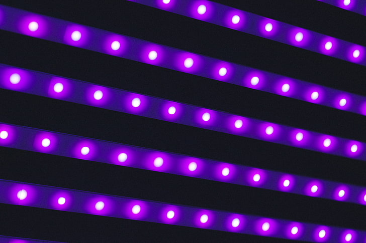 purple string lights, light, lighting, lamps, HD wallpaper