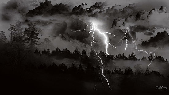 폭풍이오고, 나무, 숲, 번개, 폭풍, 와이드 스크린, 구름, 어둠, 3D 및 초록, HD 배경 화면 HD wallpaper