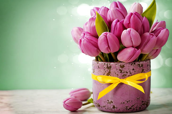 flowers, bouquet, tulips, love, wood, romantic, purple, HD wallpaper