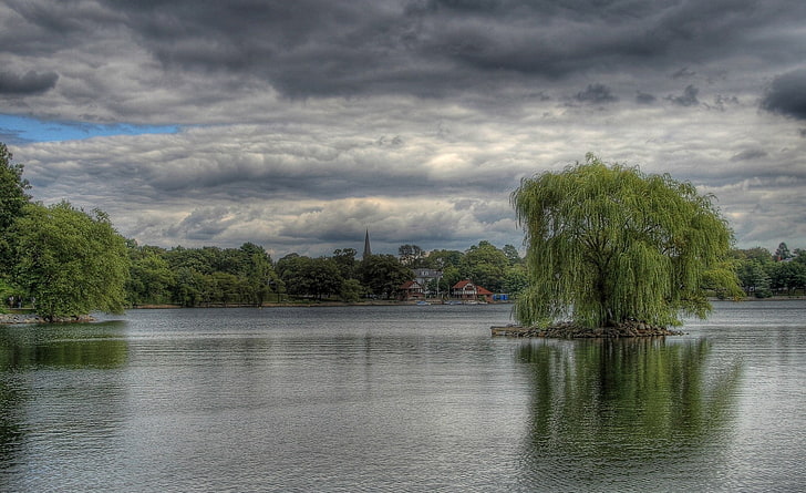 Weeping Willow, green leafed tree, Nature, Lakes, Lake, hdr, Willow, weeping willow, weeping willow hdr, HD wallpaper