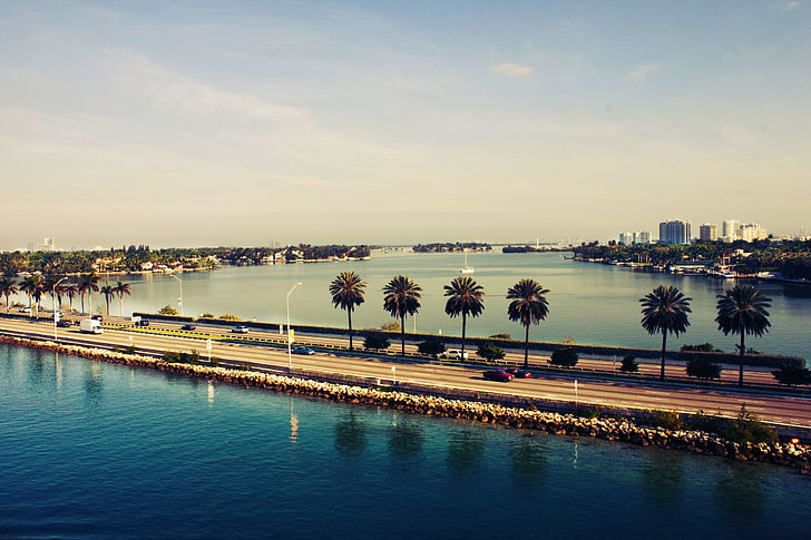 palm tree, road, water, sunset, the ocean, America, USA, miami beach, Miami, Florida, FL, HD wallpaper