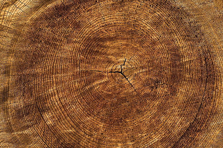 коричневая деревянная плита, дерево, ствол, текстура, HD обои