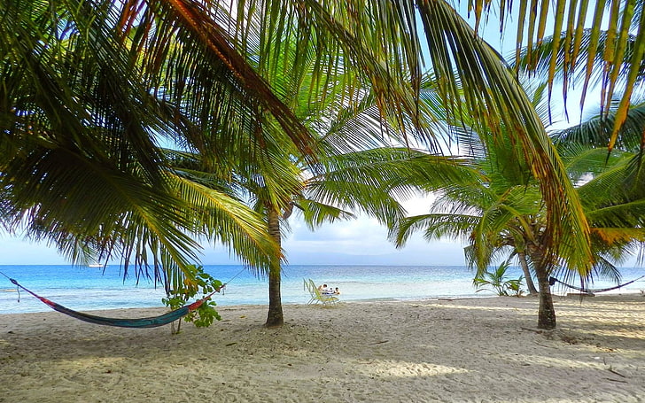 nature, photography, landscape, beach, palm trees, sand, tropical, island, sea, morning, sunlight, hammocks, Panama, HD wallpaper