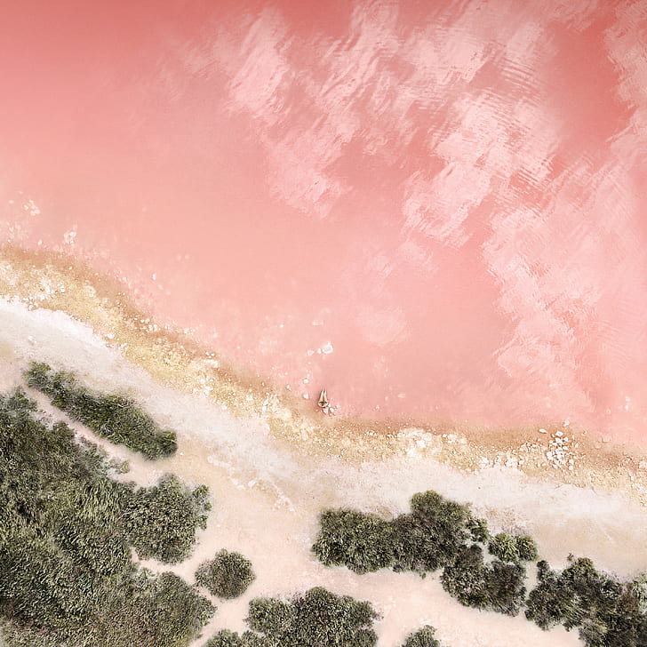 혼자, 베이비 핑크, 주식, 해변, 바위, HD 배경 화면