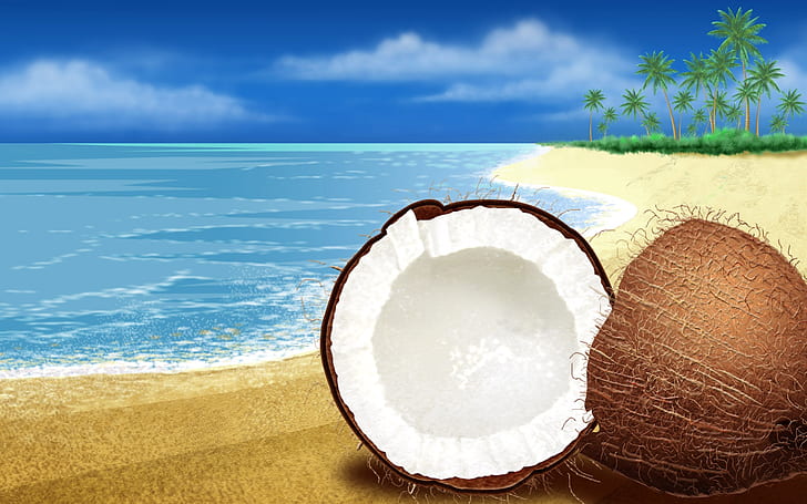 Coconuts HD Wide, wide, coconuts, HD wallpaper