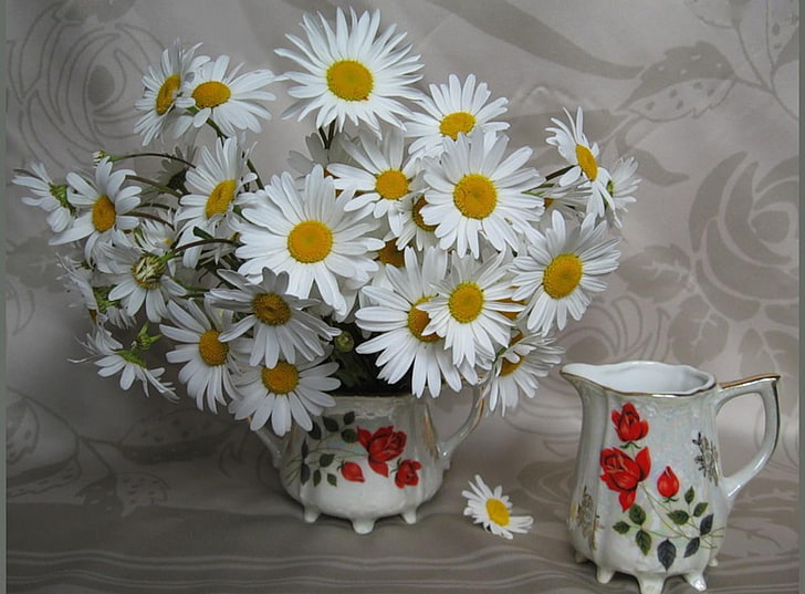 bunga daisy putih dan kuning, aster, bunga, karangan bunga, putih, vas, Wallpaper HD