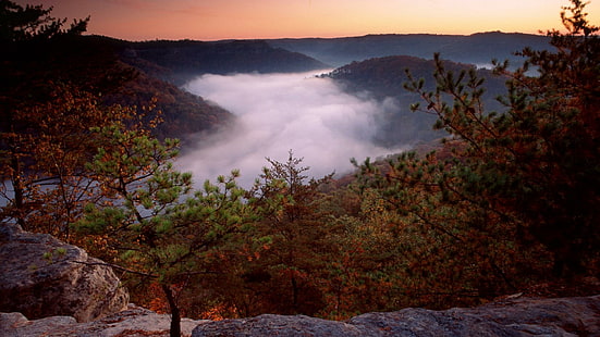 Red River Gorge Daniel Boone Np Kentuky, foresta, gola, fiume, mattina, natura e paesaggi, Sfondo HD HD wallpaper