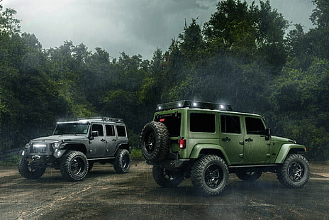 зелен Jeep Wrangler, автомобили, зелен, черен, дъжд, Wrangler, джип, офроуд, HD тапет HD wallpaper