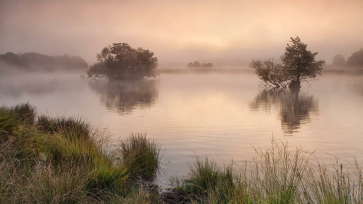 Езеро в мъглива сутрин, дървета, трева, мъгла, езеро, сутрин, природа и пейзажи, HD тапет