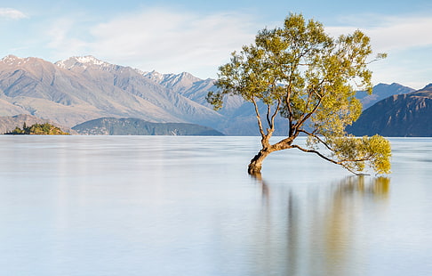 paesaggio, montagne, albero, Nuova Zelanda, lago Wanaka, Wanaka, Sfondo HD HD wallpaper