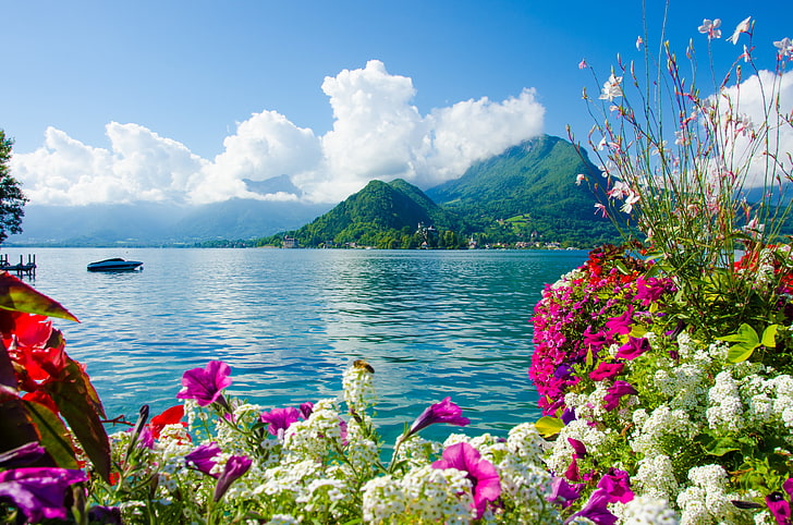 bunga petaled putih, laut, langit, awan, bunga, pegunungan, alam, perahu, Wallpaper HD