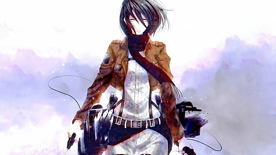 타이탄에 대한 공격 Anime Mikasa Ackerman HD, 만화 / 만화, 애니메이션, 켜기, 공격, 타이탄, 미카사, 애커맨, HD 배경 화면 HD wallpaper