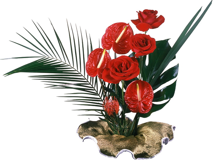 red petaled flowers illustration, roses, callas, leaves, flower, decoration, HD wallpaper