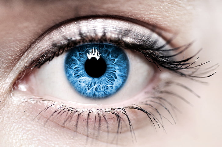 синьо око, жена, синьо, око, ирис, HD тапет