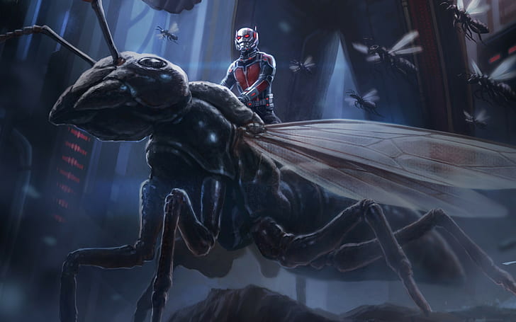Ant Man, artwork, movies, HD wallpaper