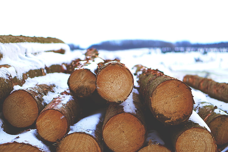 brown logs, snow, wood, nature, winter, timber, HD wallpaper