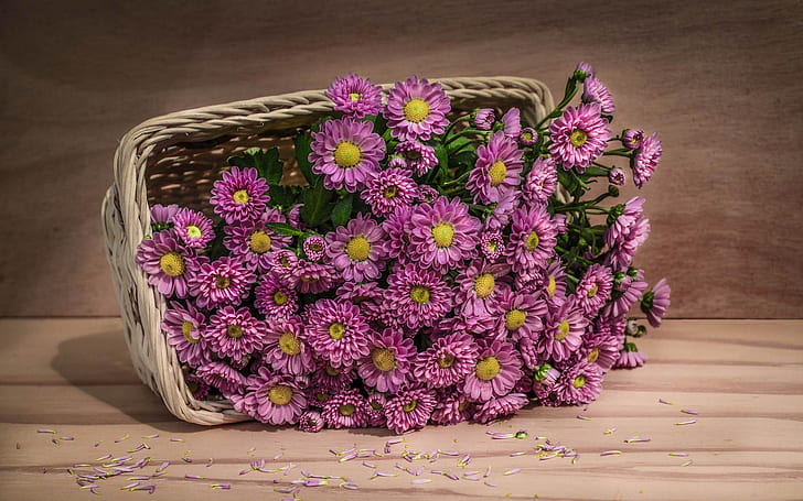 Flores de color rosa, cesta, lote de flores de color púrpura, rosa, flores, cesta, Fondo de pantalla HD