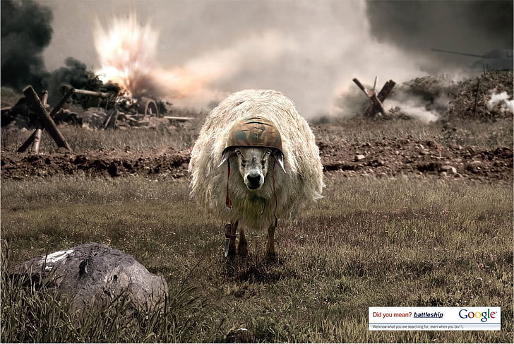 white sheep digital wallpaper, sheep, battle, helmet, HD wallpaper