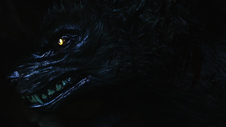 gray dragon painting, darkness, werewolf, Skyrim, HD wallpaper
