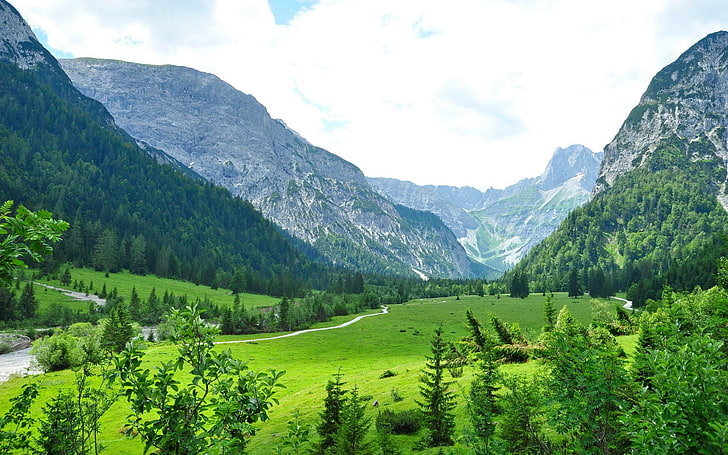 المناظر الطبيعية والجبال والوادي والنمسا وجبال الألب وأشجار الصنوبر، خلفية HD