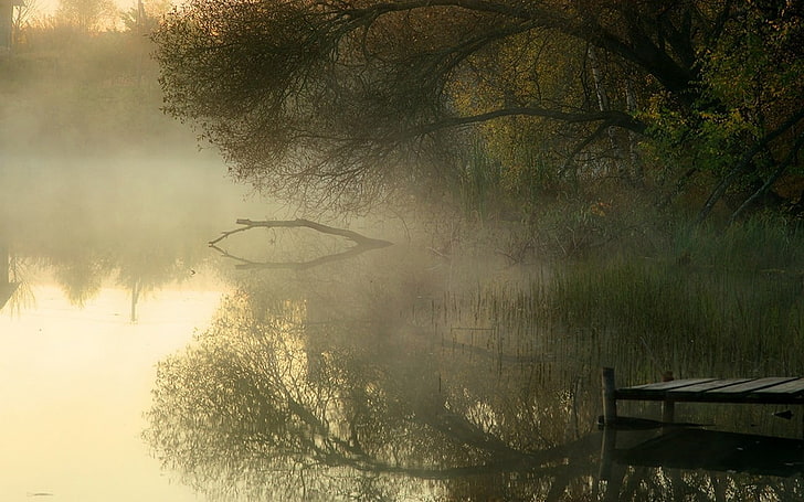 body of water, landscape, nature, lake, dock, trees, mist, reeds, morning, Russia, water, reflection, calm, HD wallpaper