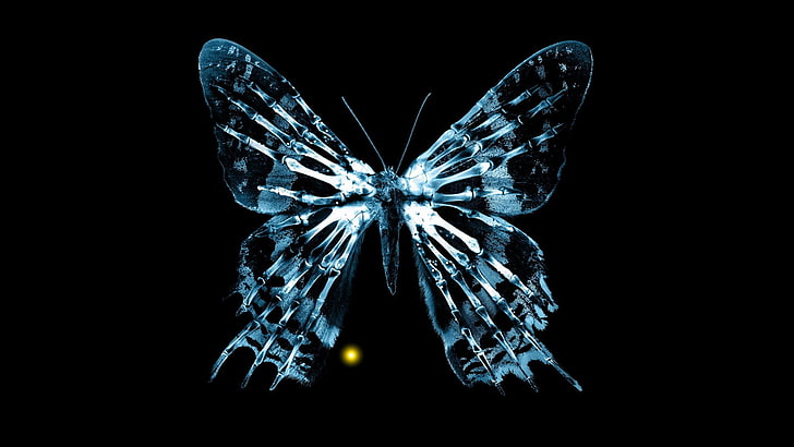 бахрома тв бабочки 1920x1080 Животные бабочки HD Art, тв, бахрома, HD обои