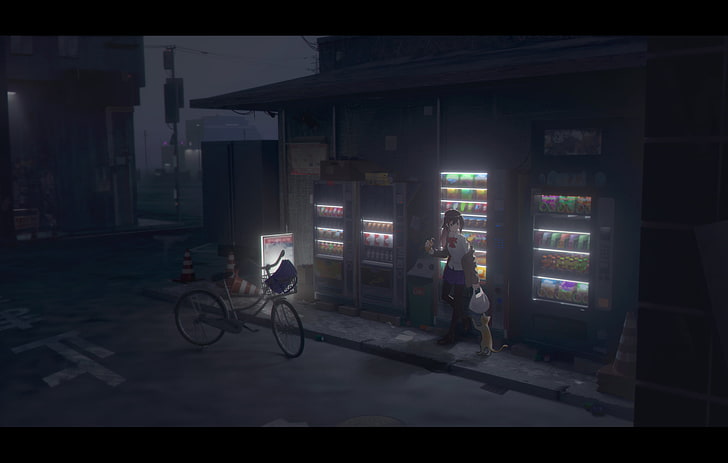 anime girls, anime, dark, night, urban, city, bicycle, cat, HD wallpaper