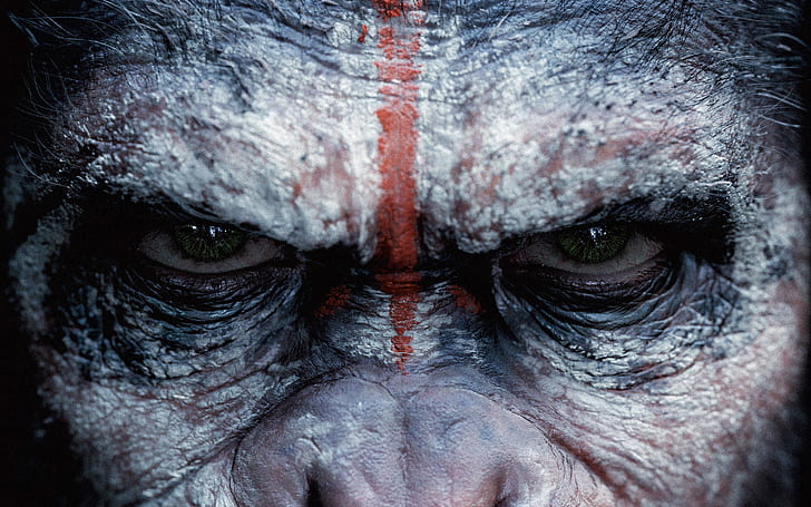 Dawn of the Planet of the Apes, planet, dawn, apes, HD wallpaper