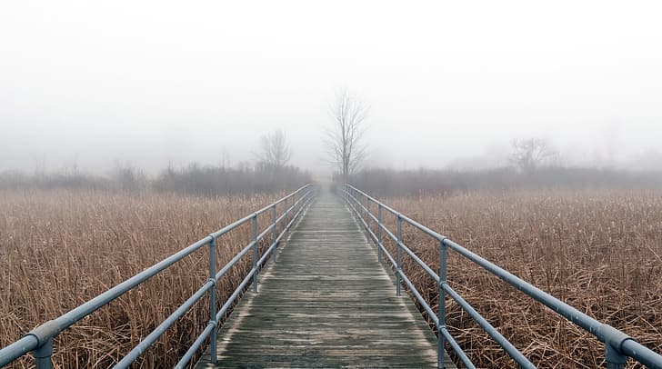 winter, bridge, fog, HD wallpaper