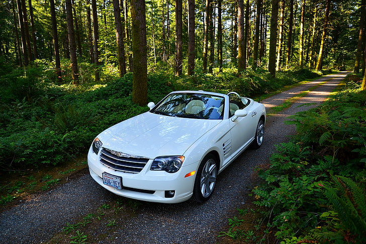 white convertible coupe, crossfire srt6, chrysler, convertible, forest, white, road, trees, HD wallpaper