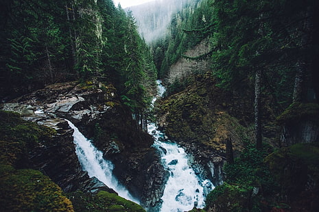 Wasserfälle und Bäume mit grünen Blättern, Natur, Berge, Wald, Wasserfall, Kiefern, Fluss, Felsen, HD-Hintergrundbild HD wallpaper