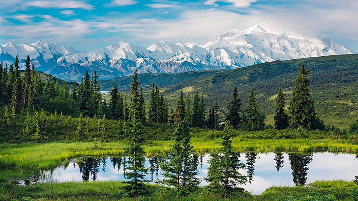 alaska, natur, vildmark, reflektion, berg, nordamerika, alaska, bergslandskap, bergskedja, högland, himmel, tall, bergskedja, träd, tundra, sjö, HD tapet