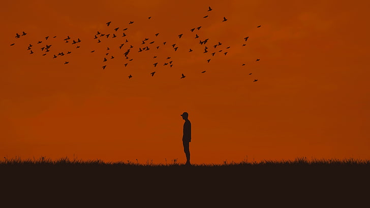silhouette of person, man, silhouette, birds, HD wallpaper