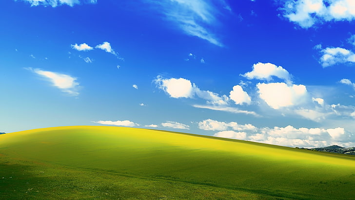 campo de hierba verde bajo el fondo de pantalla de cielos azules, Microsoft Windows, MS-DOS, paisaje, Fondo de pantalla HD