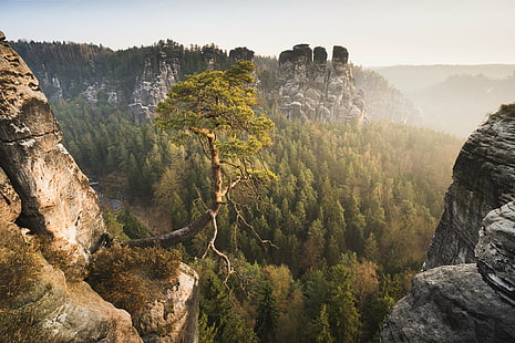 top view photo of green forest surrounded of brown and black mountains, Ein, Explore, top, view, photo, green forest, brown, black mountains, Hiking, Light, Licht, Morning, Sublime, Baum, Kiefer, Pinetree, Sony a6500, SEL, Landscape, Spring, Frühling, Germany, Deutschland, Bastei, Saxon Switzerland, Sächsische Schweiz, nature, mountain, scenics, rock - Object, forest, outdoors, travel, tree, cliff, famous Place, HD wallpaper HD wallpaper