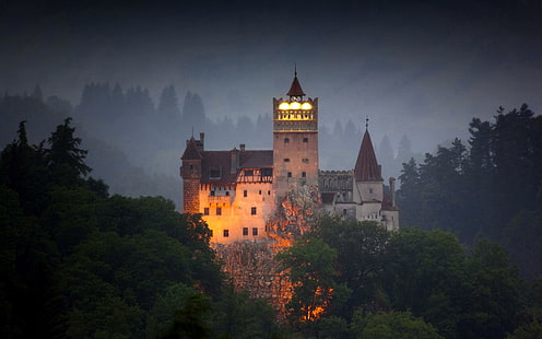 Замъкът на Дракула, дървета, светлини, Трансилвания, замък, Дракула, мъглив, мъглив, Румъния, животни, HD тапет HD wallpaper