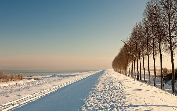 musim dingin, salju, Wallpaper HD
