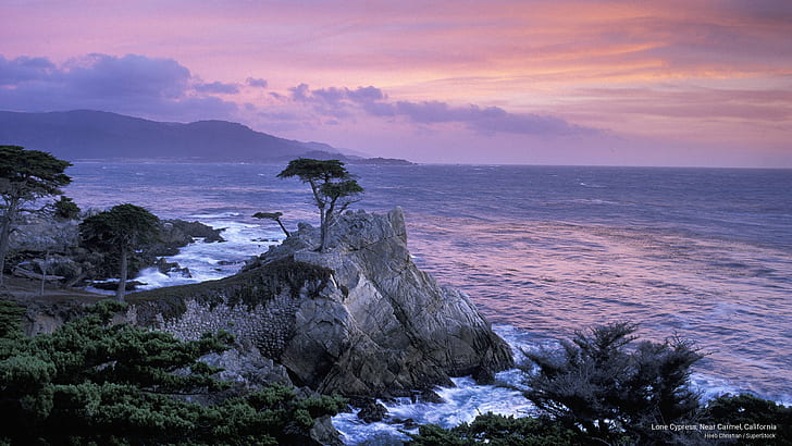 Cyprès solitaire, près de Carmel, Californie, plages, Fond d'écran HD