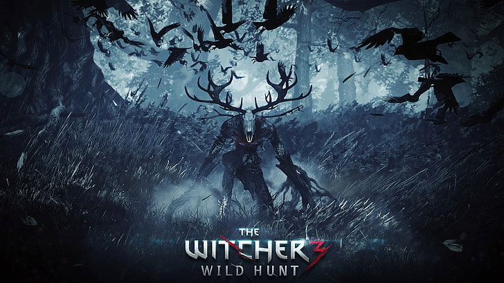 THE WITCHER 3 WILD HUNT Game HD Wallpaper 17, The Witcher 3 Wild Hunt wallpaper, HD wallpaper