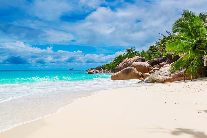 océano, cielo, costa, 5K, palmeras, playa, Seychelles, Maldivas, Fondo de pantalla HD