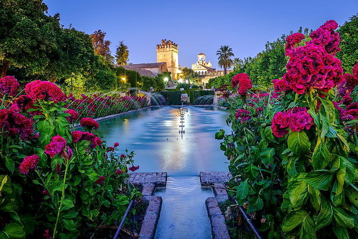 pink petaled flowers and body of water, flowers, garden, fountain, fortress, Spain, Andalusia, Cordoba, The alcázar de Los Reyes Cristianos, The alcazar of the Christian Kings, Andalucia, HD wallpaper