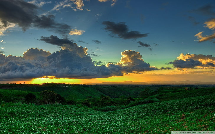 غيوم عاصفة فوق الحقول الخضراء ، الطبيعة ، المناظر الطبيعية، خلفية HD