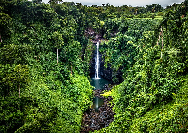 Waterfalls, Waterfall, Cliff, Jungle, Nature, HD wallpaper