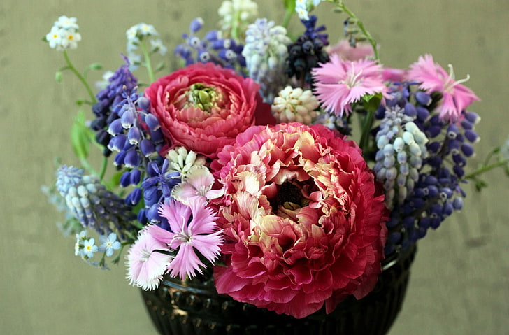 red flowers, pinks, ranunkulyus, forget-me, muscari, bouquet, HD wallpaper